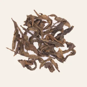 1995 "Green Pu-erh" - Image 2
