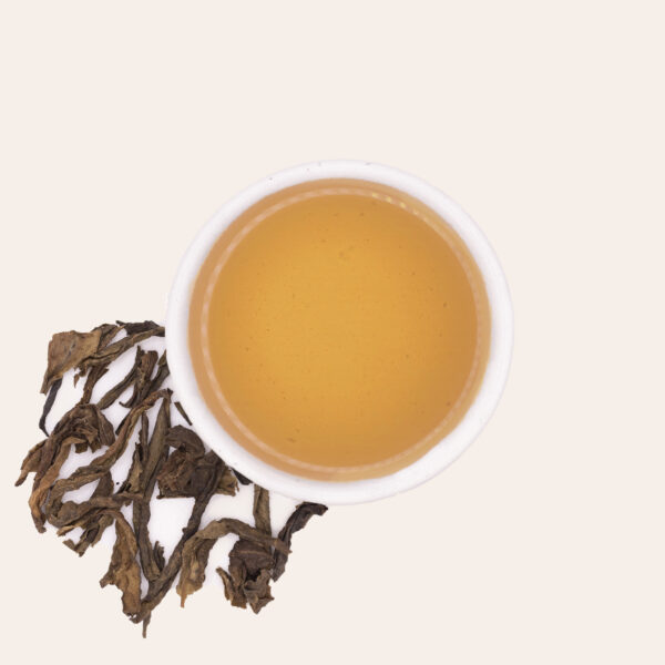 1995 "Green Pu-erh"