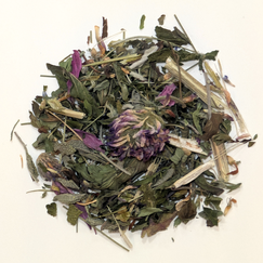 Immunity of the Sacred Blossom - Image 2